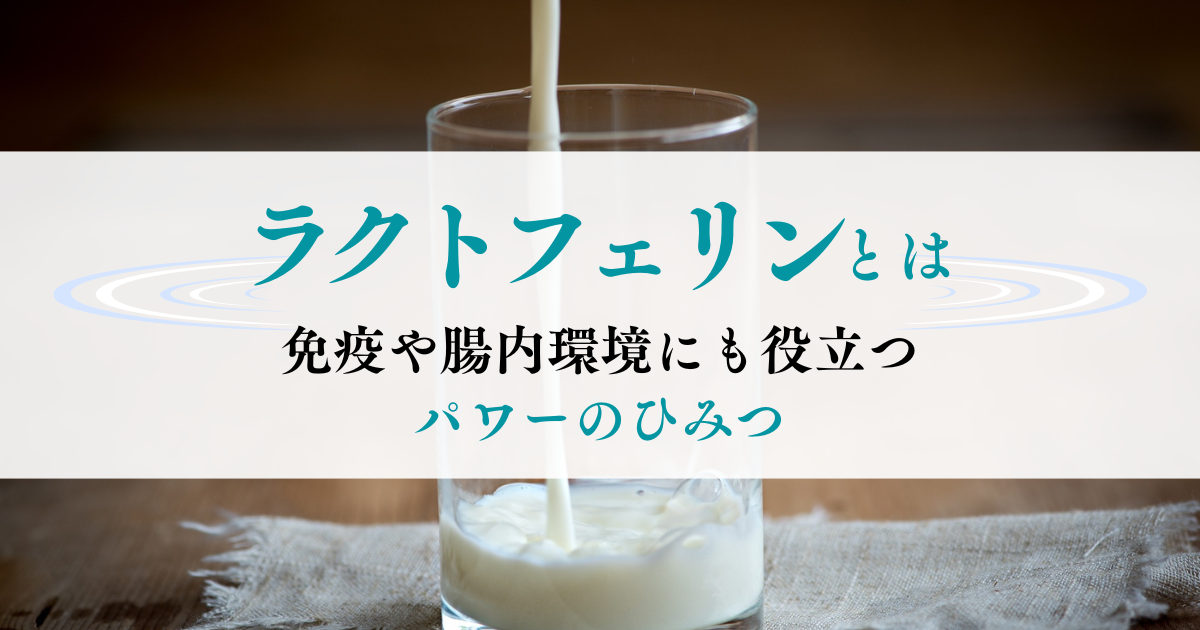 イメージ写真