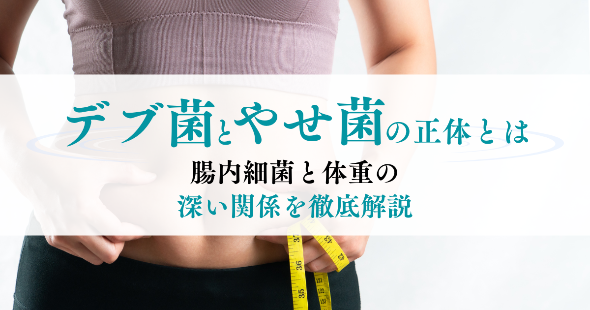 イメージ写真