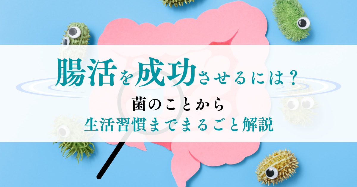 イメージ写真